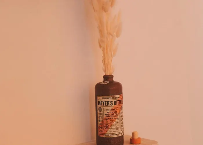 The Martinez's House *